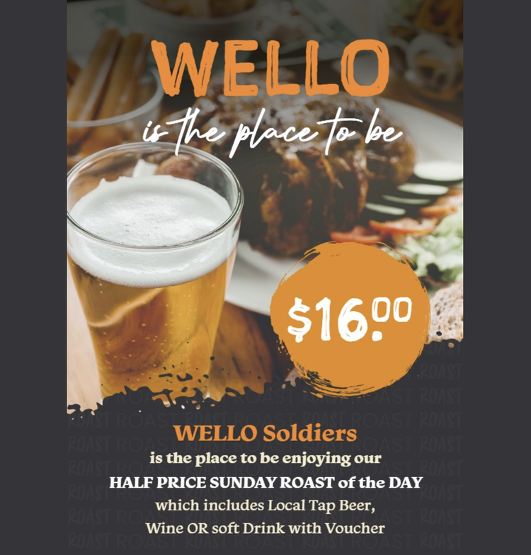 Wello Soldiers Promo